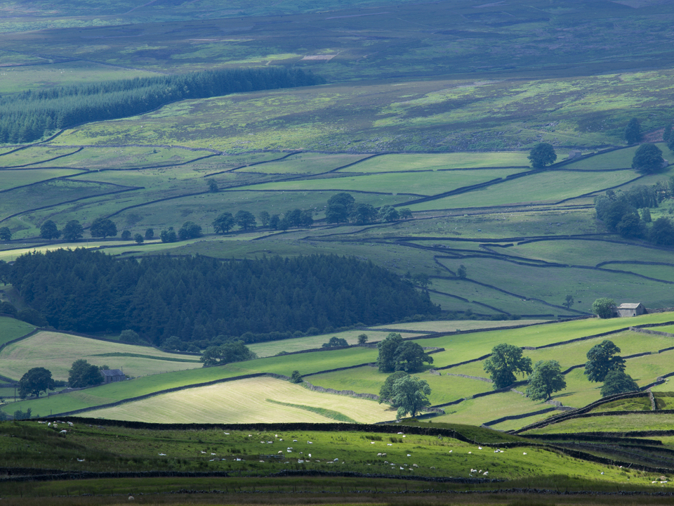 Wharfedale from High Crag