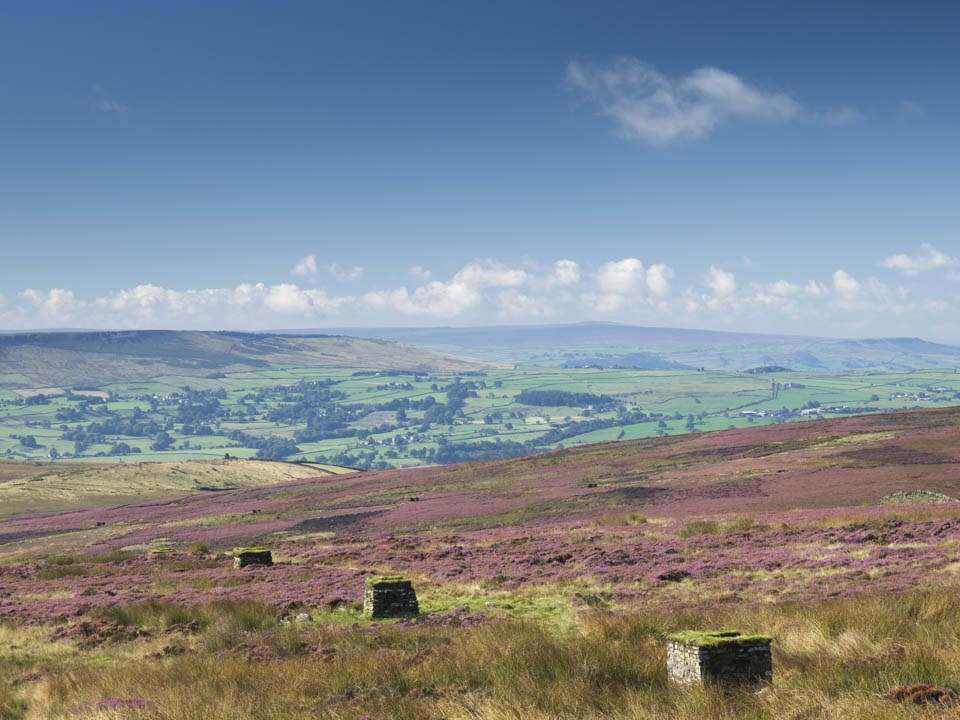 Middleton Moor