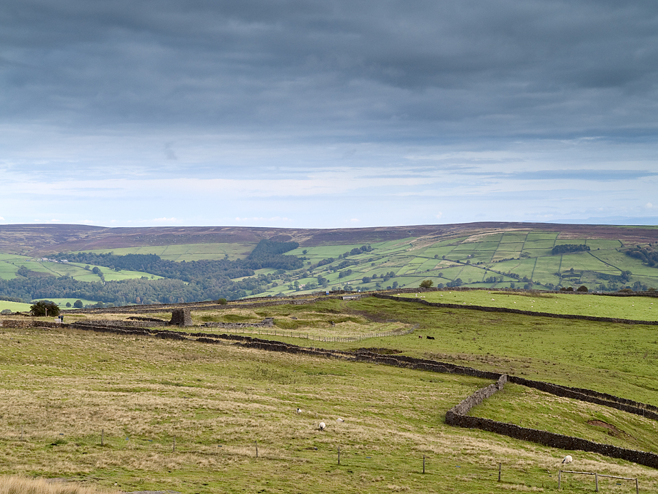 Nidderdale