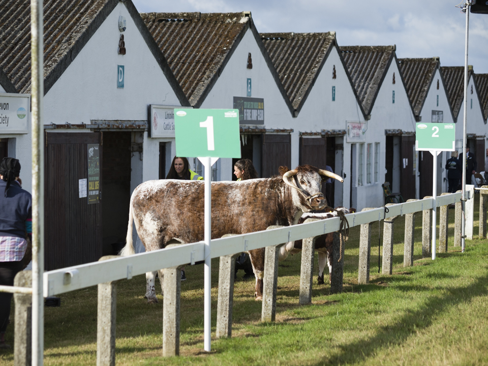 The Great Yorkshire Show, 2023