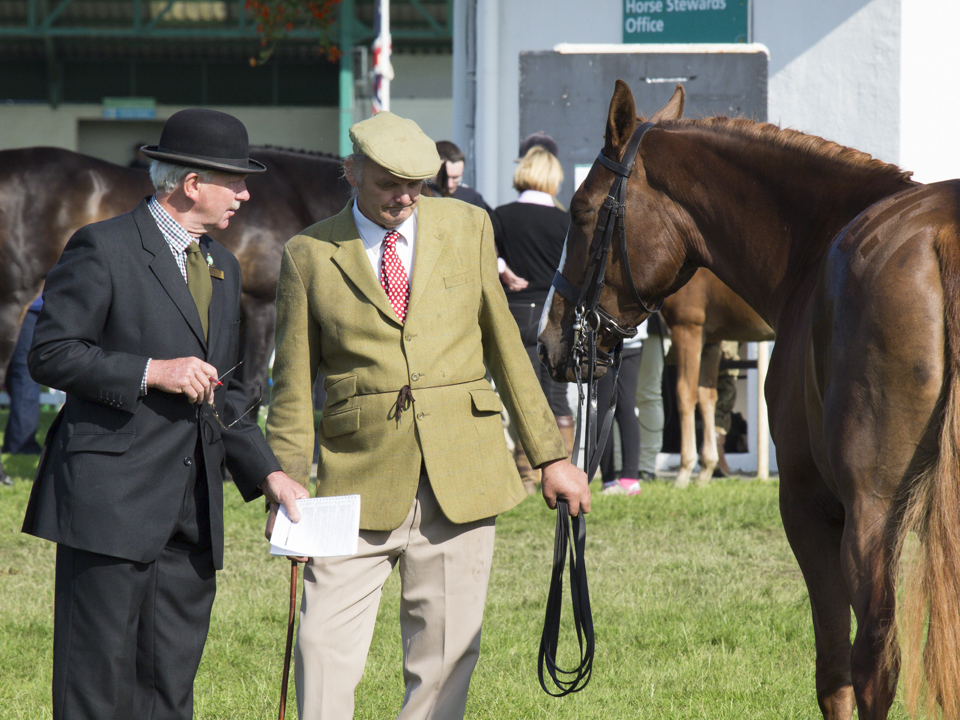 Great Yorkshire Show, 2015