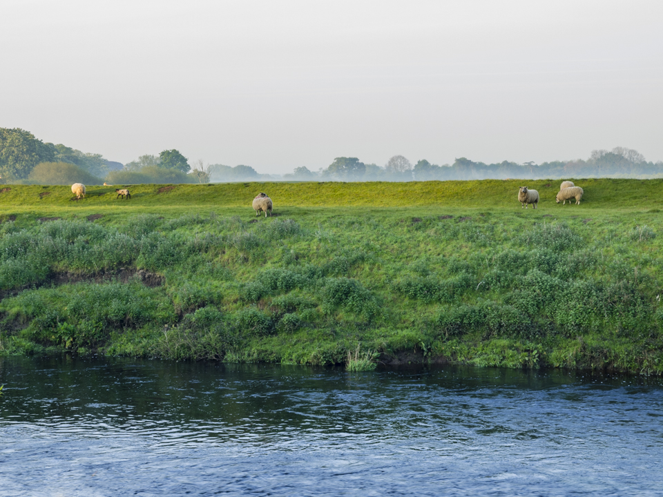 River Swale at Helperby