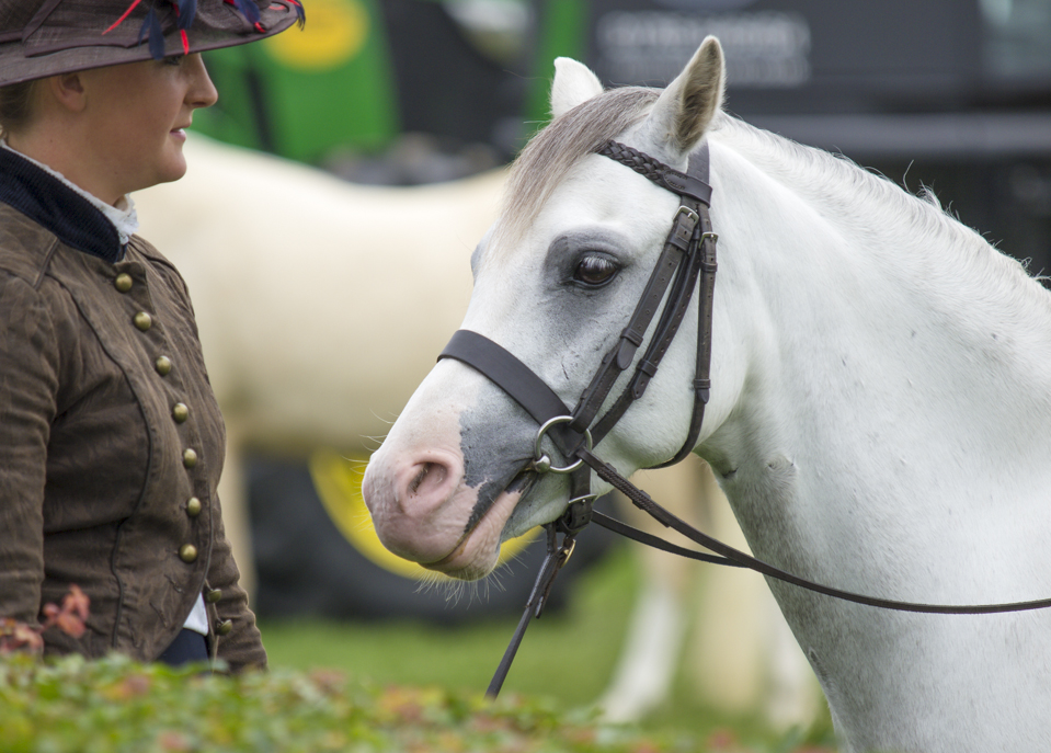 Great Yorkshire Show, 2015