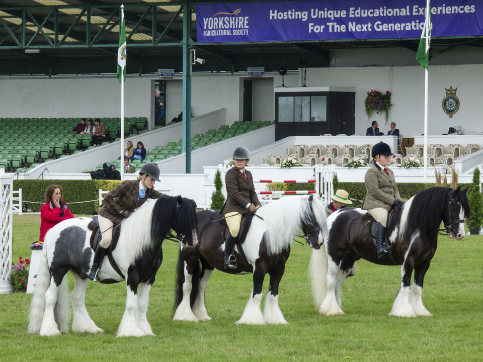 The Great Yorkshire Show, 2023