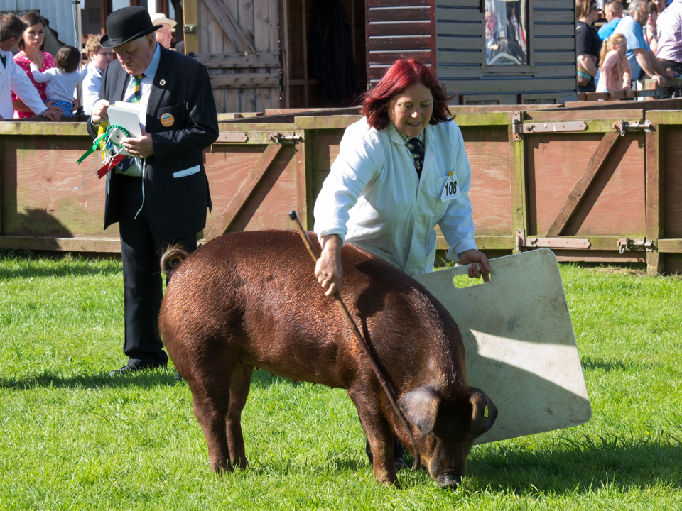 Great Yorkshire Show, 2016