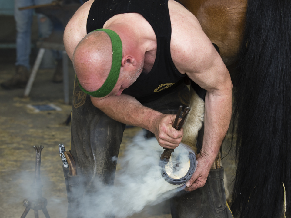 The Great Yorkshire Show, 2023