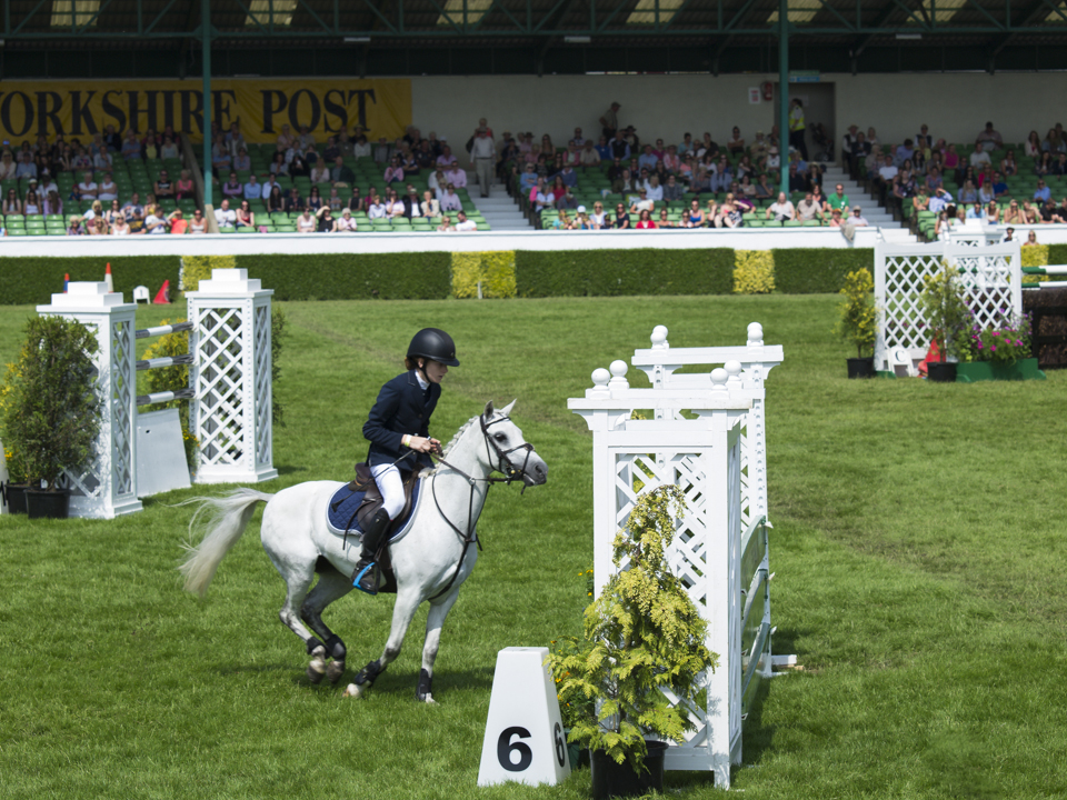 Great Yorkshire Show, 2015