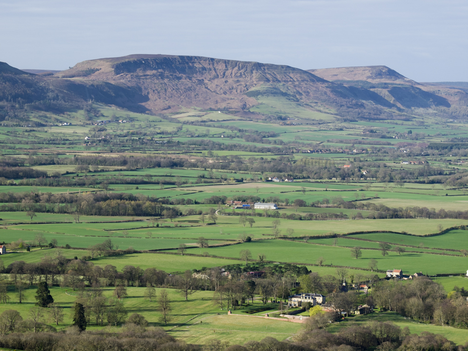 The Cleveland Hills