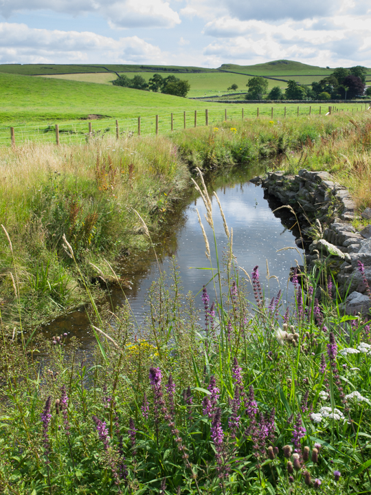 Otterburn beck