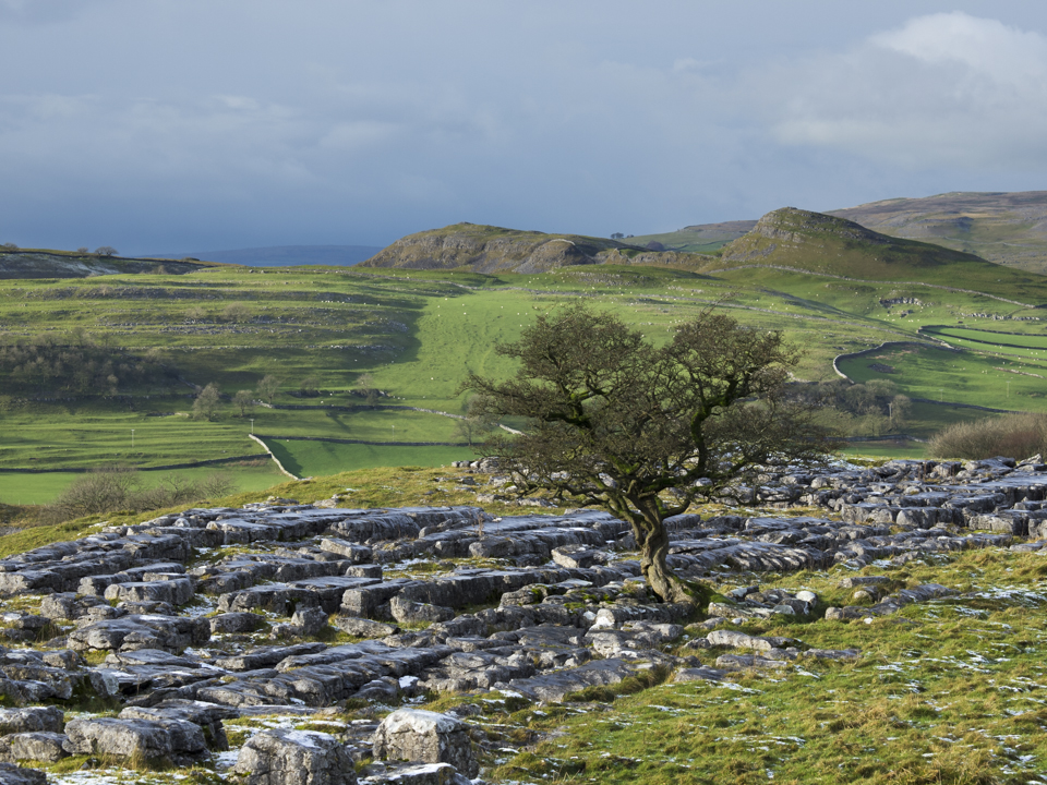Smearsett Scar from Winskill Stones