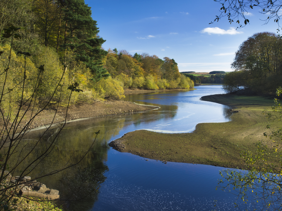 River Washburn