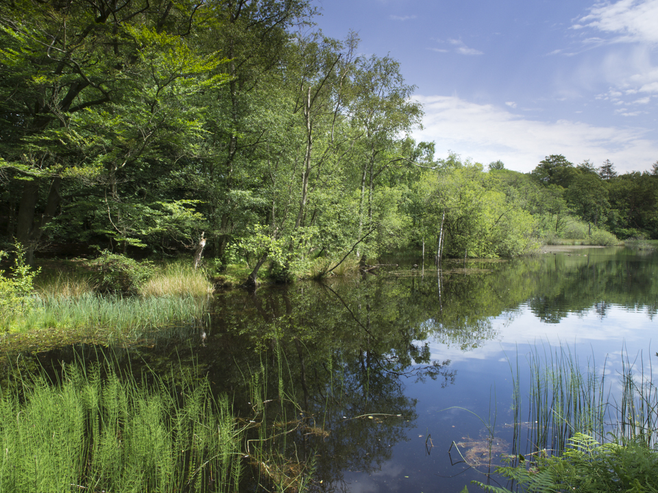 Low Dam, Wasburn valley