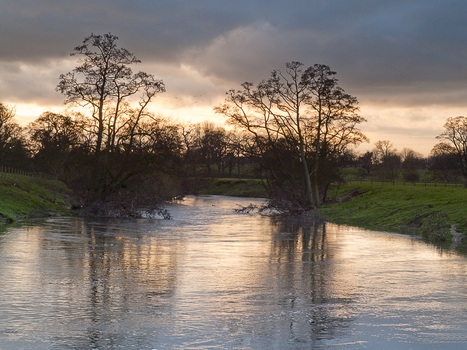 River Nidd at Little Ribston