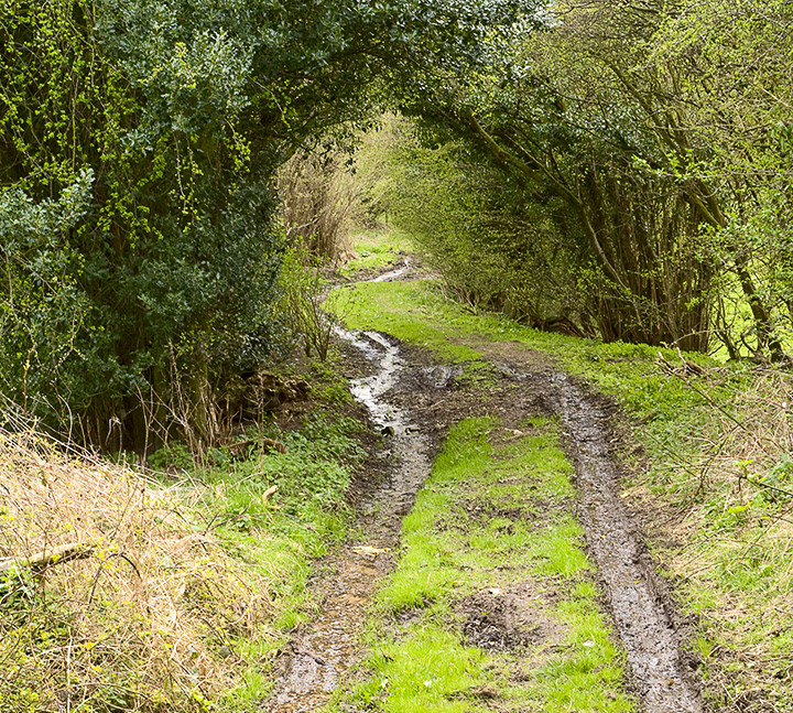 Lane at Chapel Hill leading to the River Wharfe