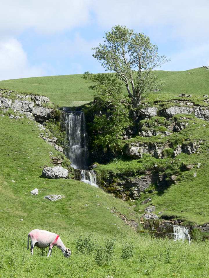 Waterfall near Cray