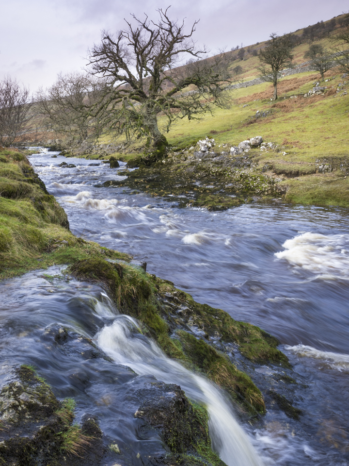 Langstrothdale