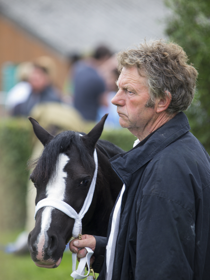 Great Yorkshire Show, 2015