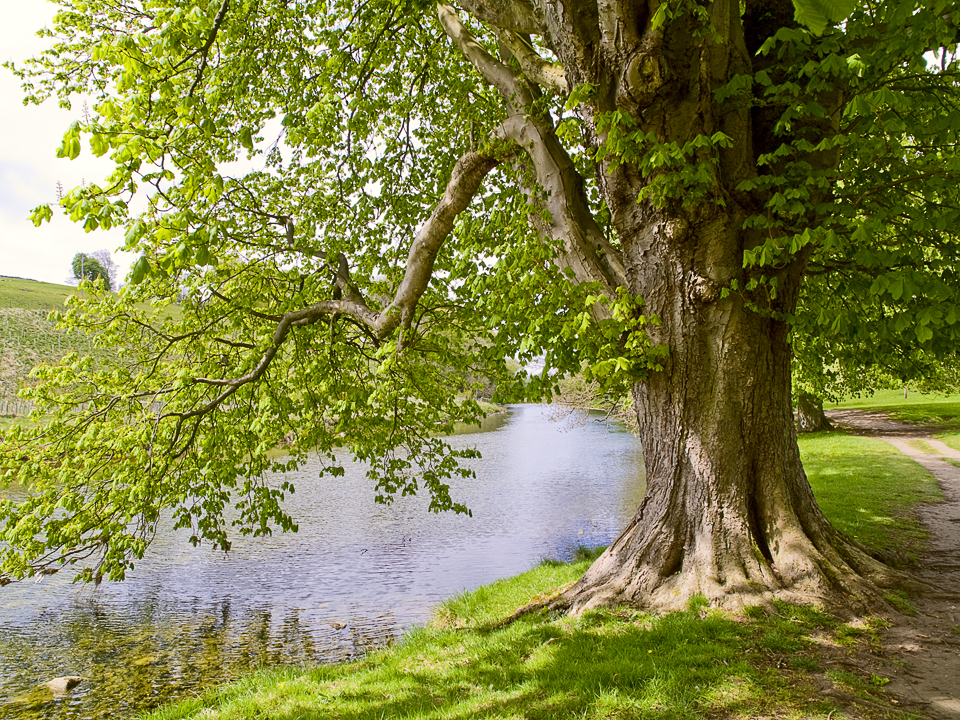 River Wharfe at Hebden