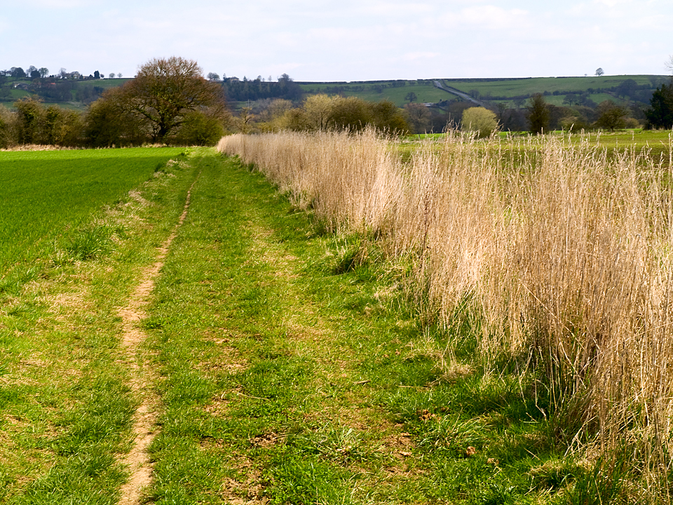 Bridleway at Netherby, Wharfedale