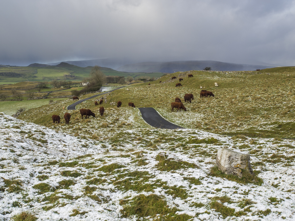 Winskill Stones