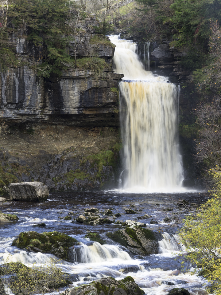Thornton Force