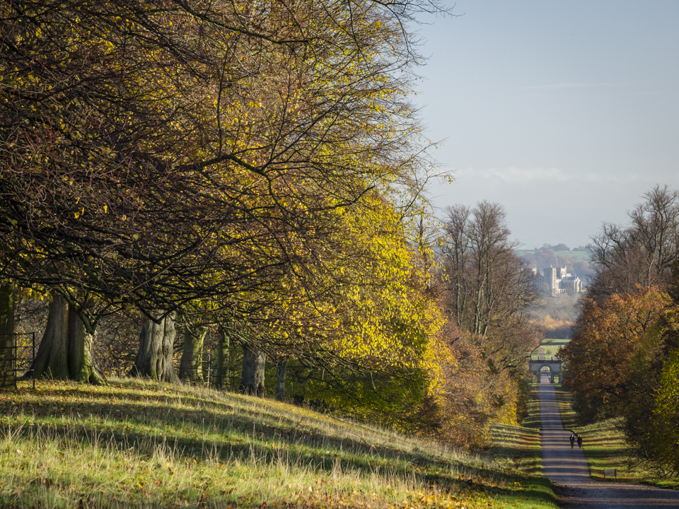 Ripon Cathedral from Studley Park