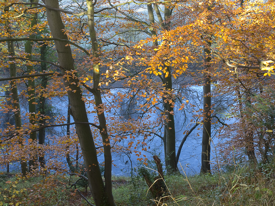 River Ure at Sharow