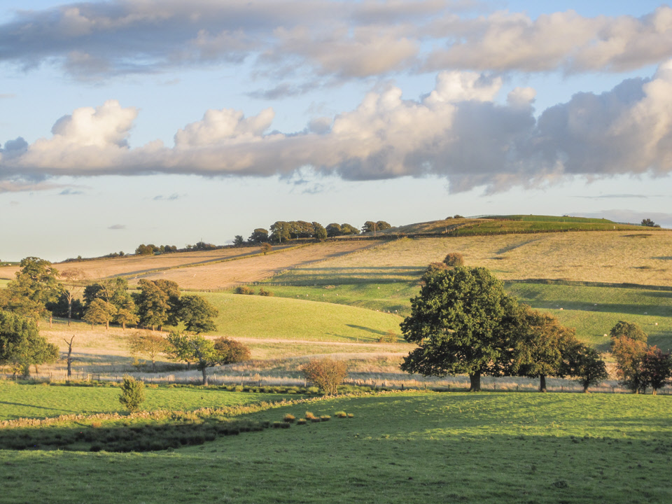Yeadon Banks