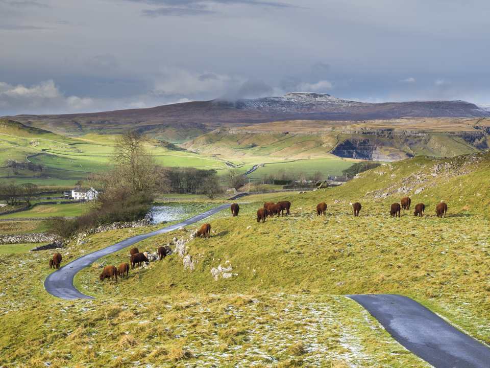 Ingleborough from Winskill Stones
