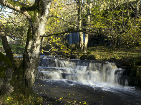 Catrake Force