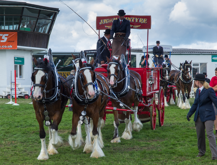 Great Yorkshire Show, 2016