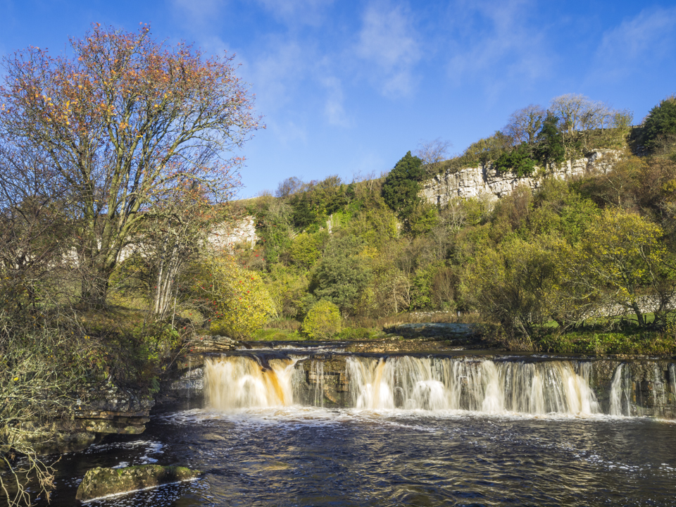 Wain Wath Force