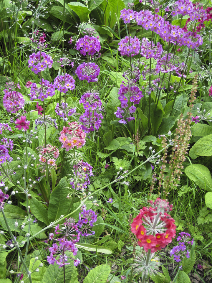 Golden Acre Park