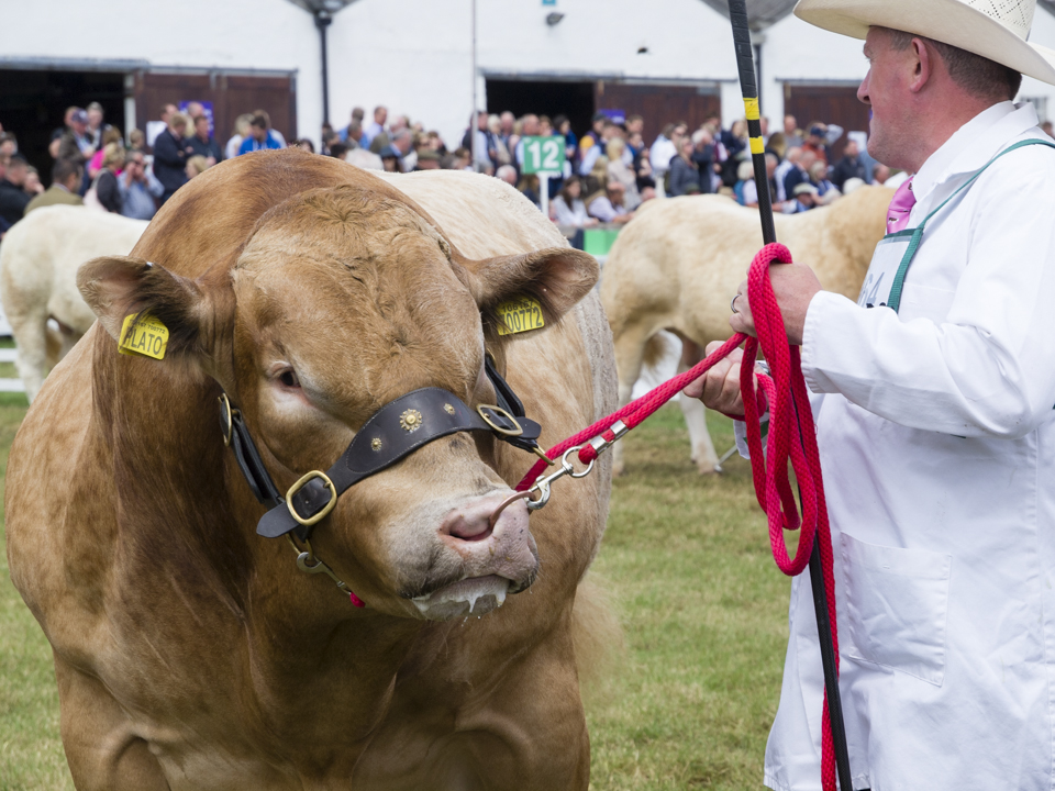 The Great Yorkshire Show, 2023