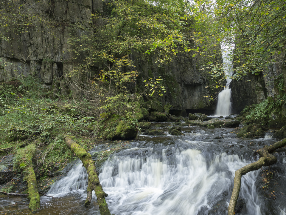 Catrigg Force