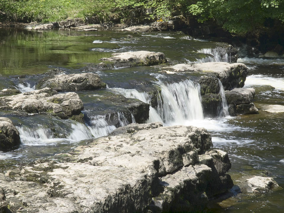 Redmire Force