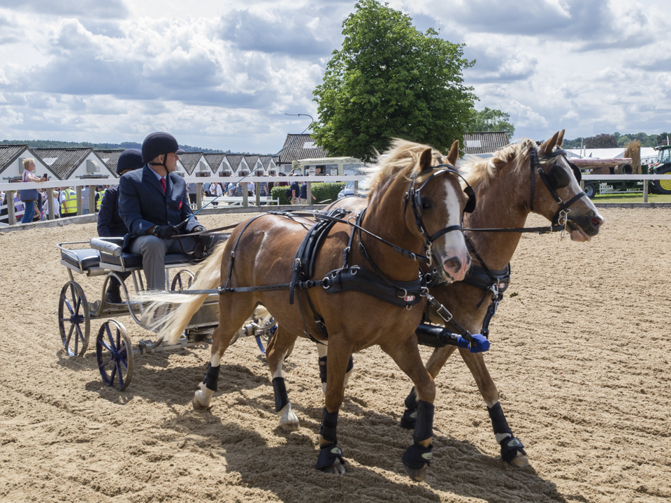 The Great Yorkshire Show, 2023