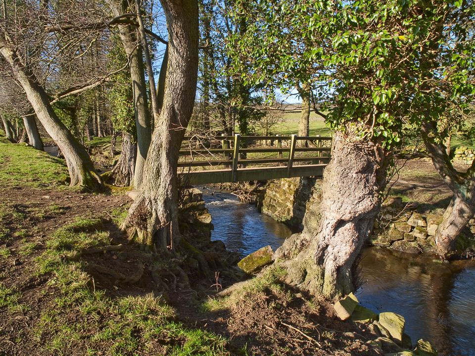 Darley beck