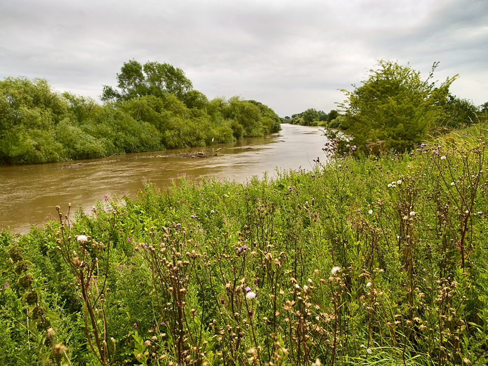 River Ouse at Cawood