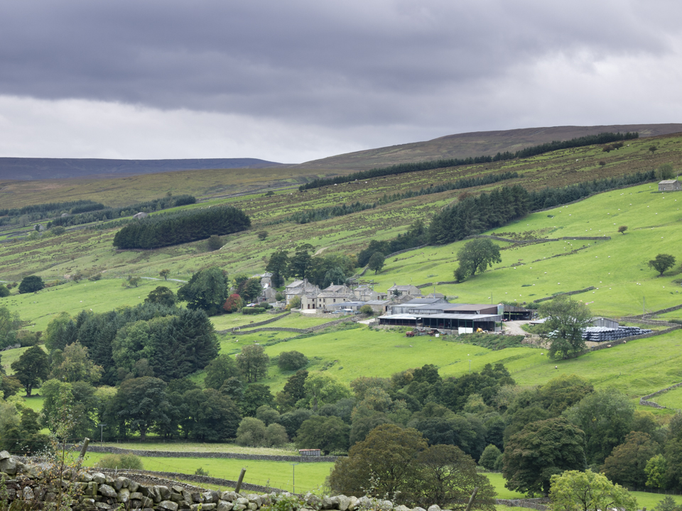 Braidley