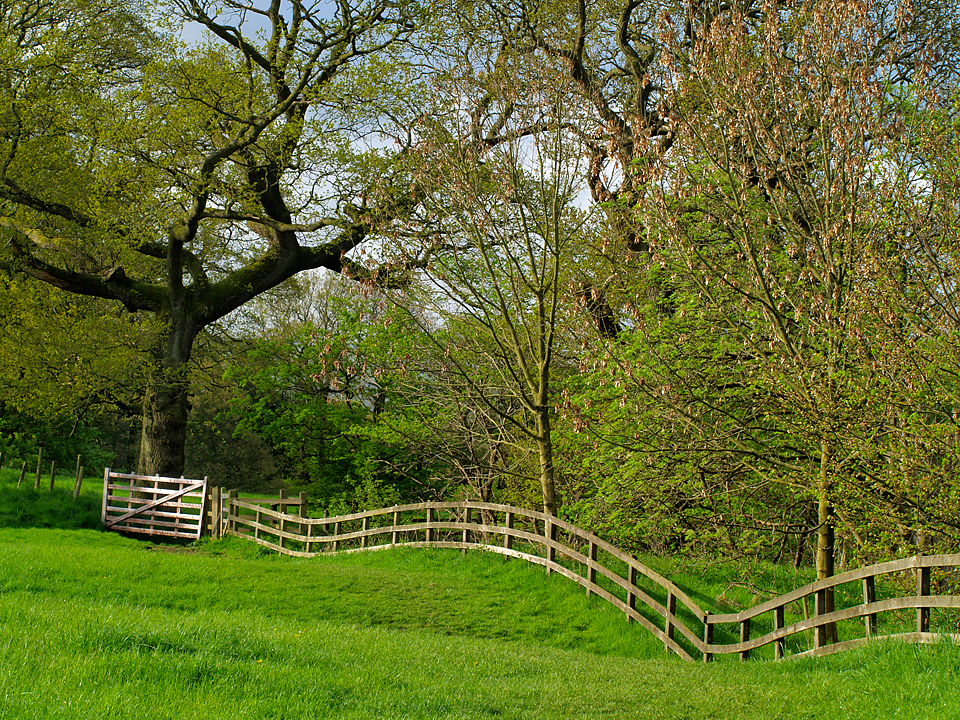 Footpath at Storiths