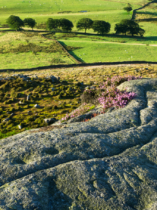 On Embsay Crag