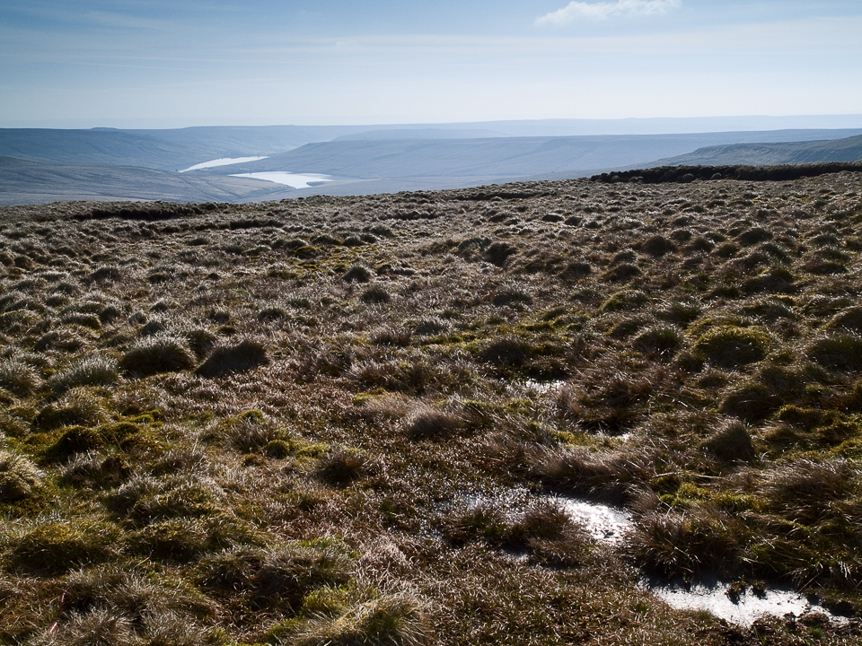 Nidd Head