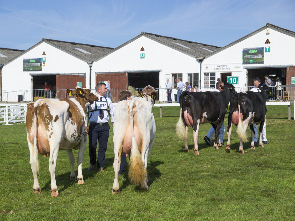 Great Yorkshire Show, 2015