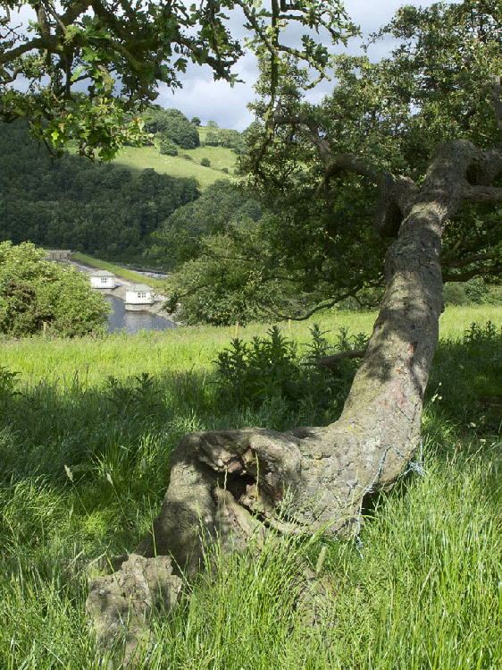 Lindley Wood Reservoir