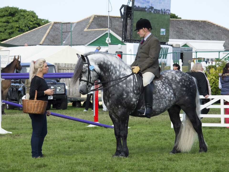 Great Yorkshire Show, 2015