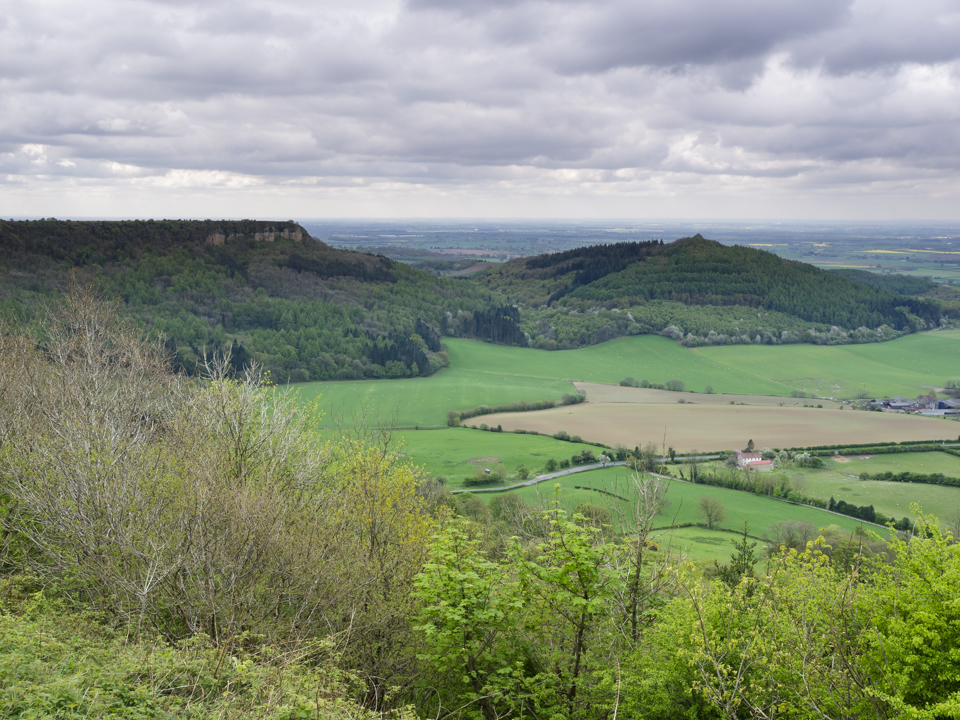 Roulston Scar and Hood Hill