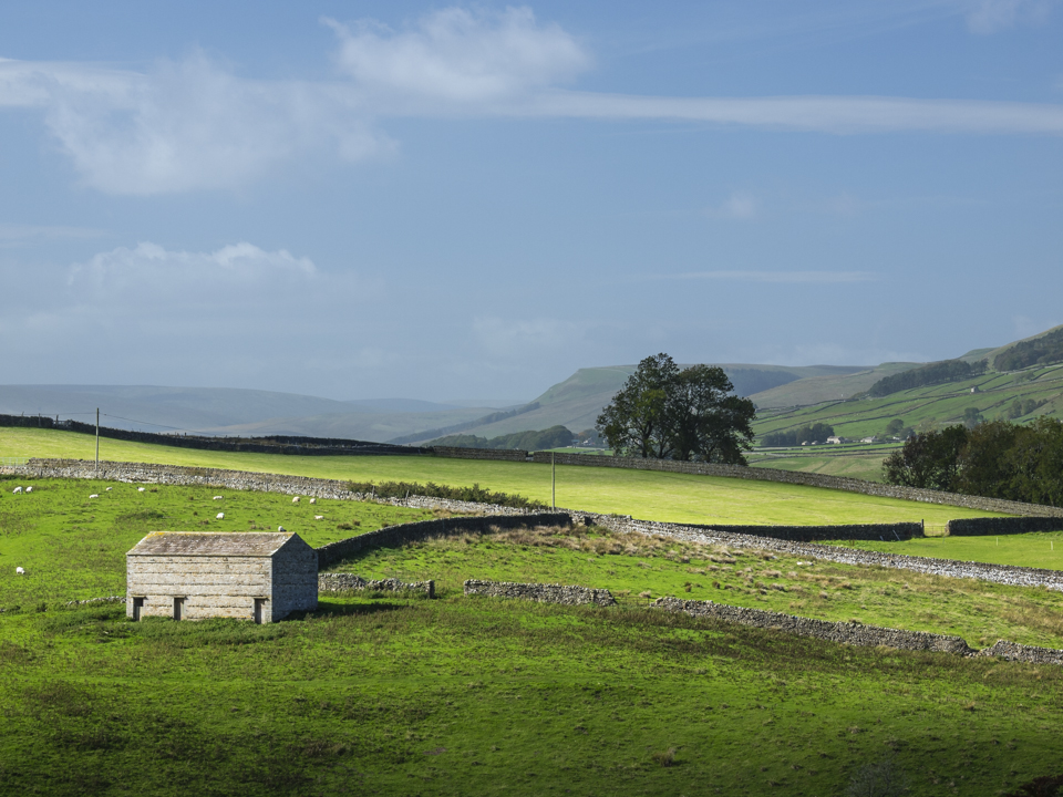 Countryside near Bainbridge