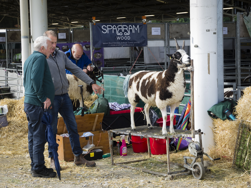 The Great Yorkshire Show, 2023