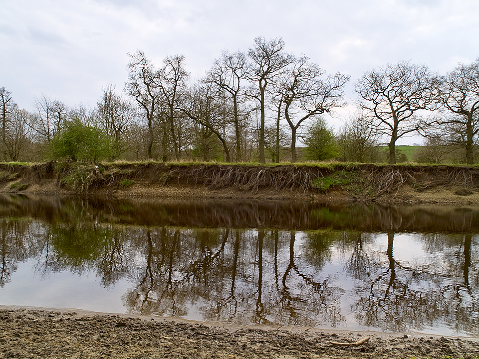 River Wharfe at Chapel Hill